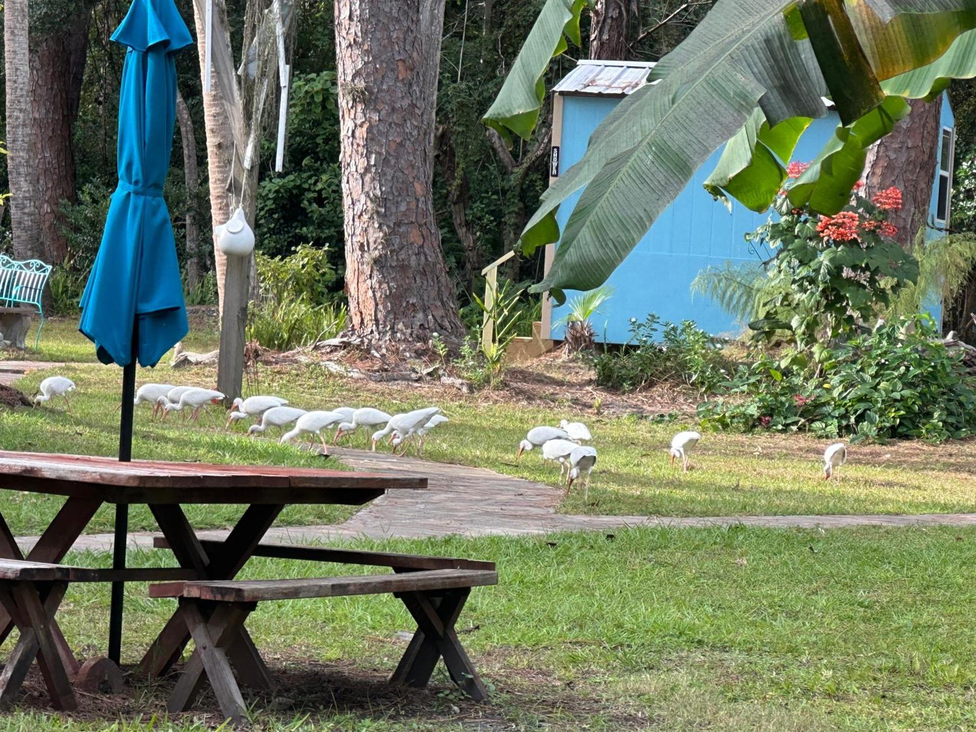 Nature Coast & Hotel 4*